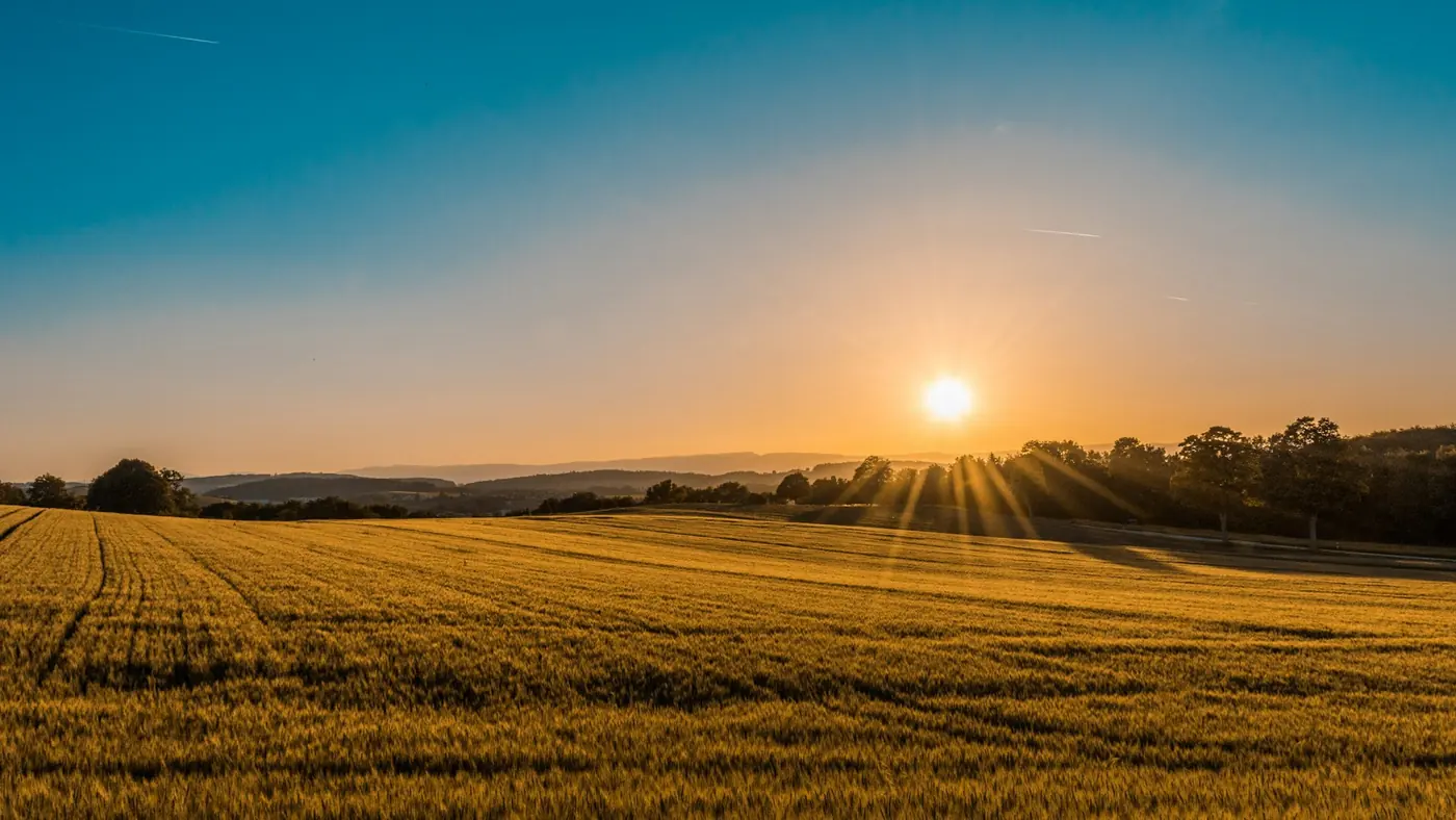 Agriculture industry environment